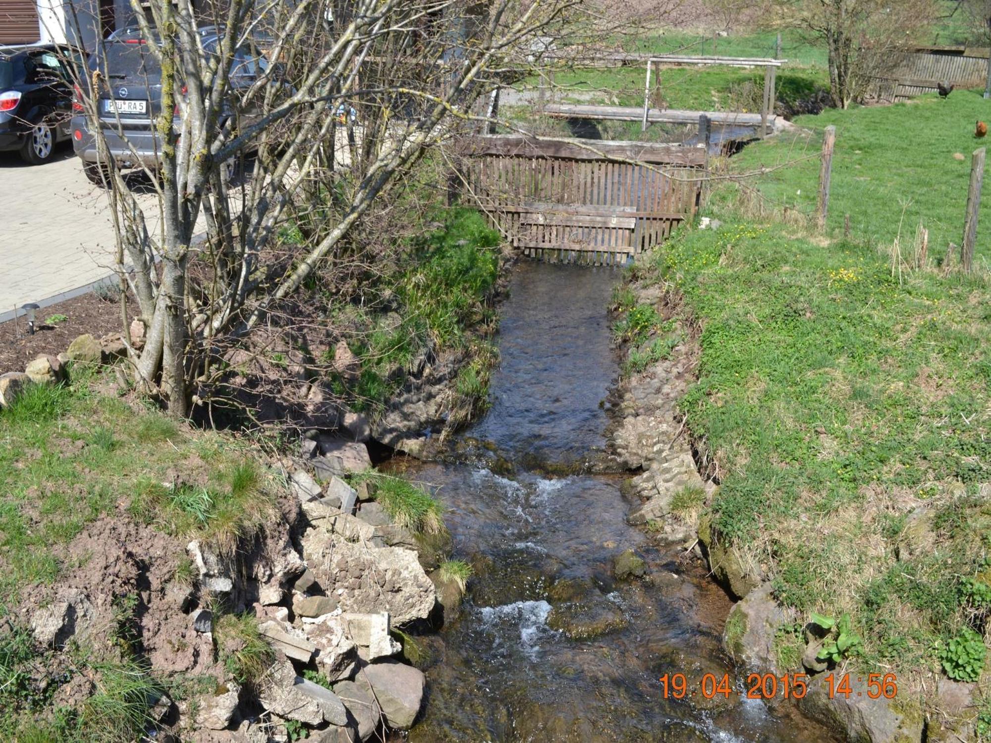 Quiet Apartment Along A Stream In Halenfeld Sellerich Exteriör bild
